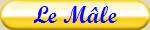 Le Mle
